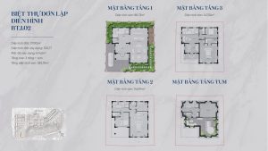 Mẫu BT.I.02: biệt thự đơn lập, đất 317,93m², 3 tầng + tum