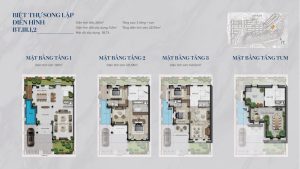 Mẫu BT.III.1,2: song lập, đất 260m², có bể bơi tầng 1