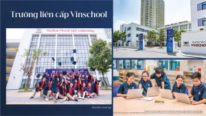 Trường liên cấp Vinschool